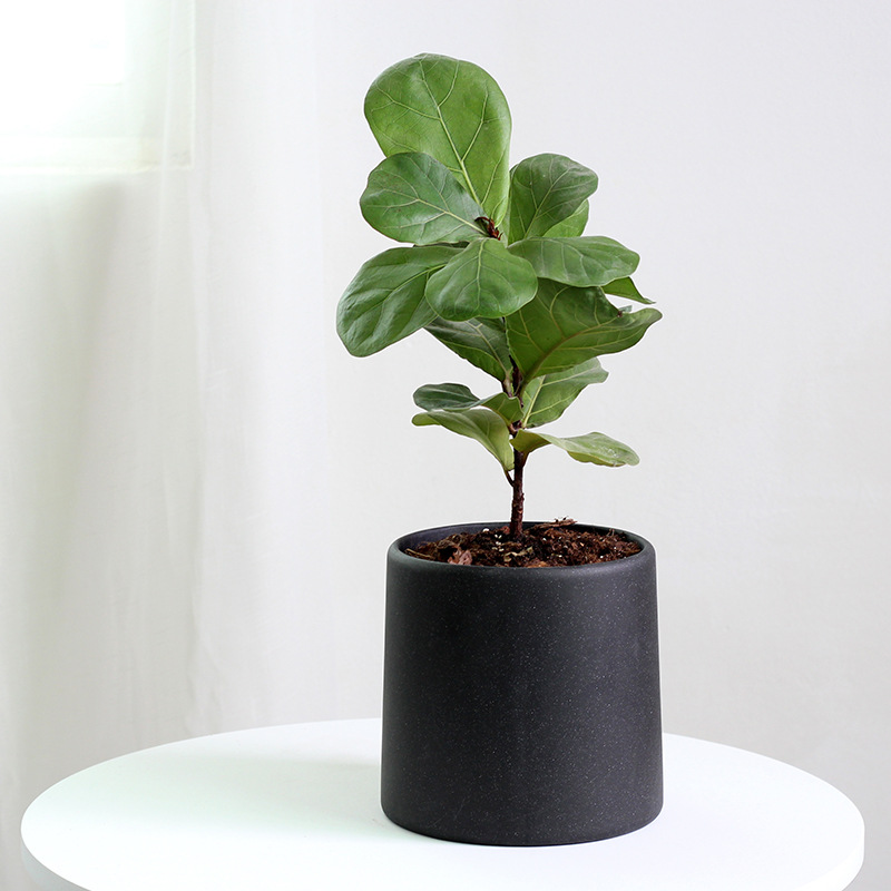Simple-Round-Cement-Flower-Pot-Creative-and-Personalized-Potted-Plants-Excellent-Texture-Home-Gardening-Decoration.jpg